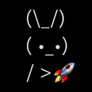 BunnyRocket